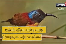 Vadodara: સન બર્ડ્સનું આવું અનોખું કલેક્શન તમે નહીં જોયું હોય, જોઈલો VIDEO