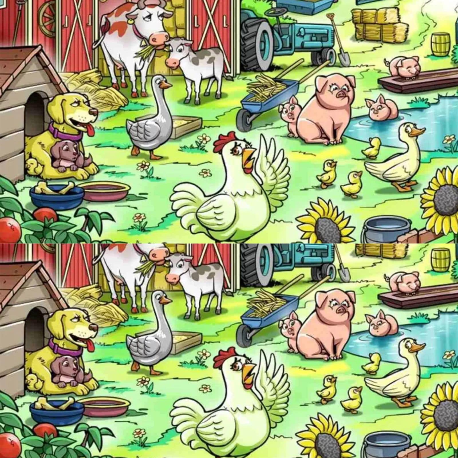 optical illusion picture the challenge to find chicken chick lost in field in 10 seconds